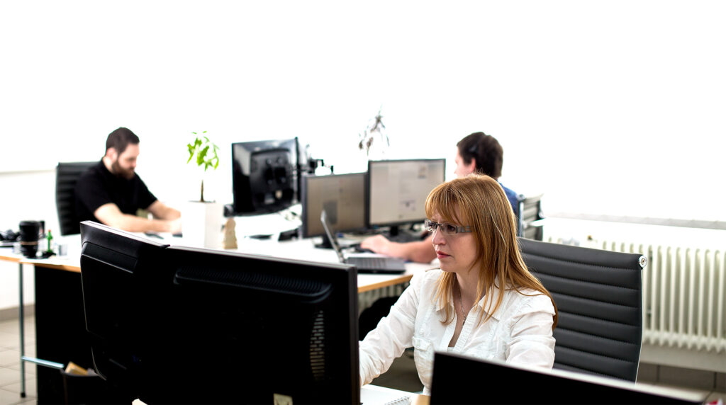 Das ratiosys AG Team bei der Arbeit