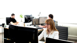 Das ratiosys AG Team bei der Arbeit